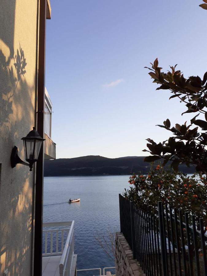 Apartmani Lezenic Dada ネウム エクステリア 写真